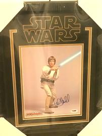 Luke Skywalker Star Wars Photo 202//269